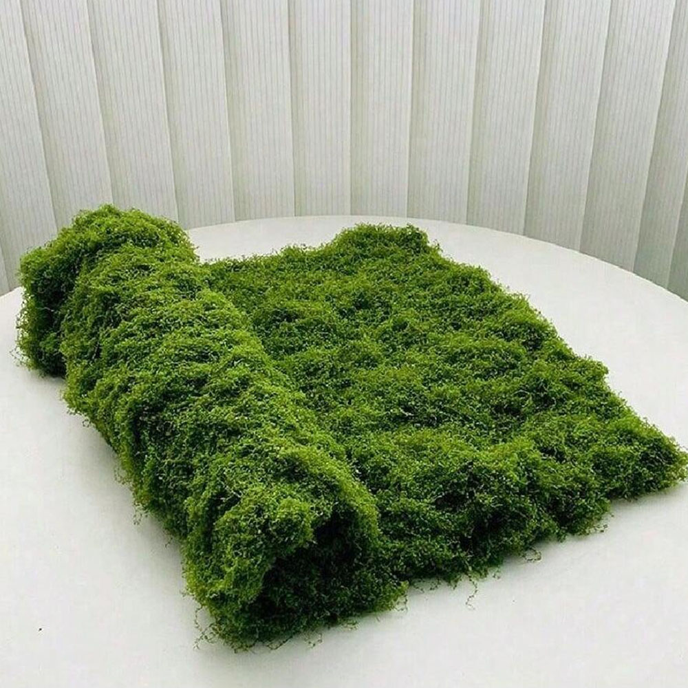 Preserved Moss Sheet - 1*1m fausse mousse bricolage artisanat herbe