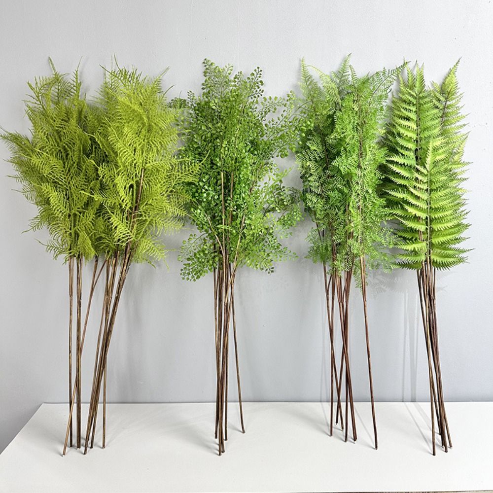 Branches de plantes de fougère - Preserved Moss Sheet avis et prix