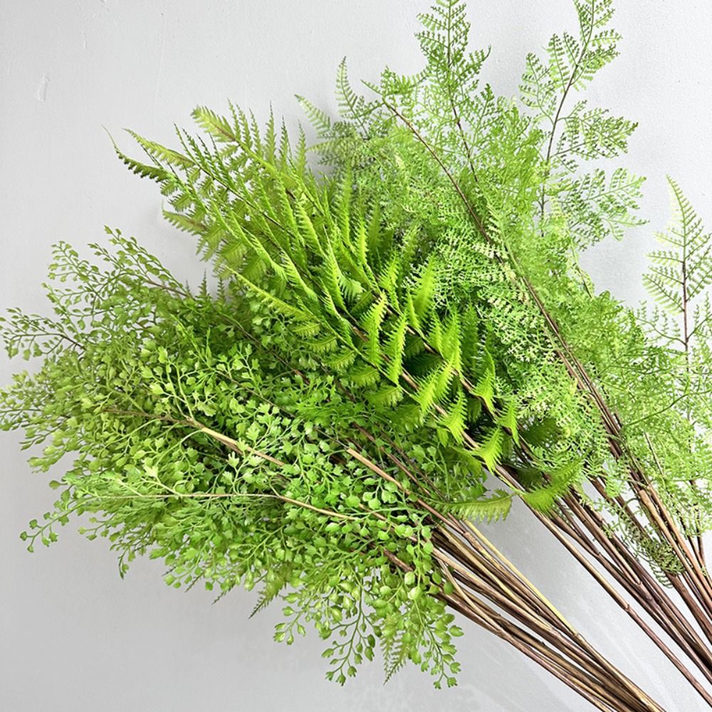 Branches de plantes de fougère - Preserved Moss Sheet avis et prix