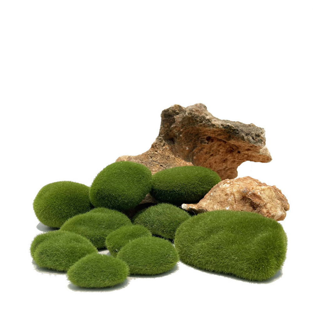 Faux mousse artificielle roche - Preserved Moss Sheet avis et prix