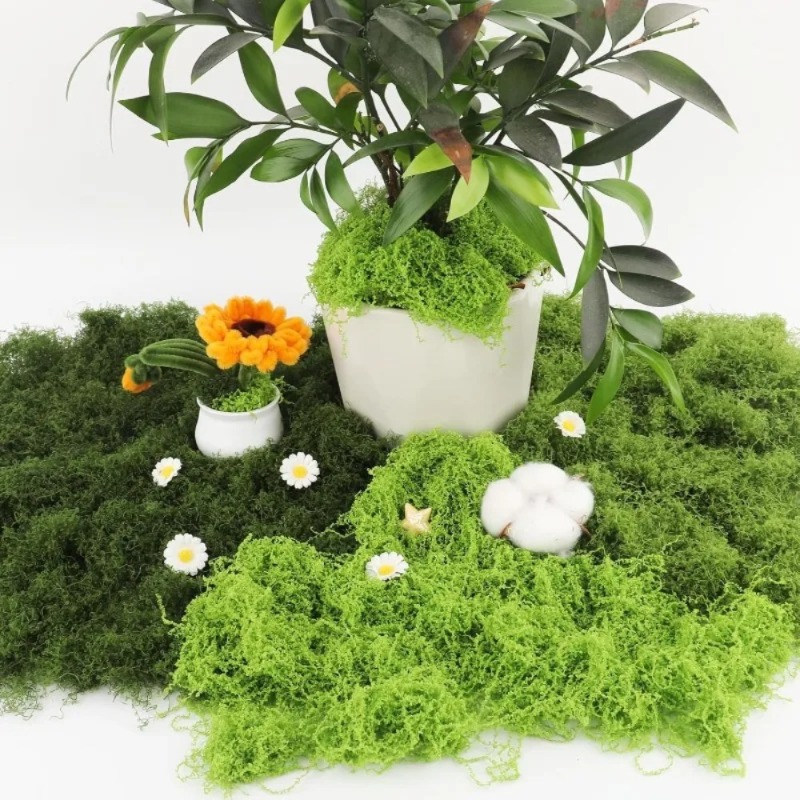 Mousse verte artificielle, fau - Preserved Moss Sheet avis et prix