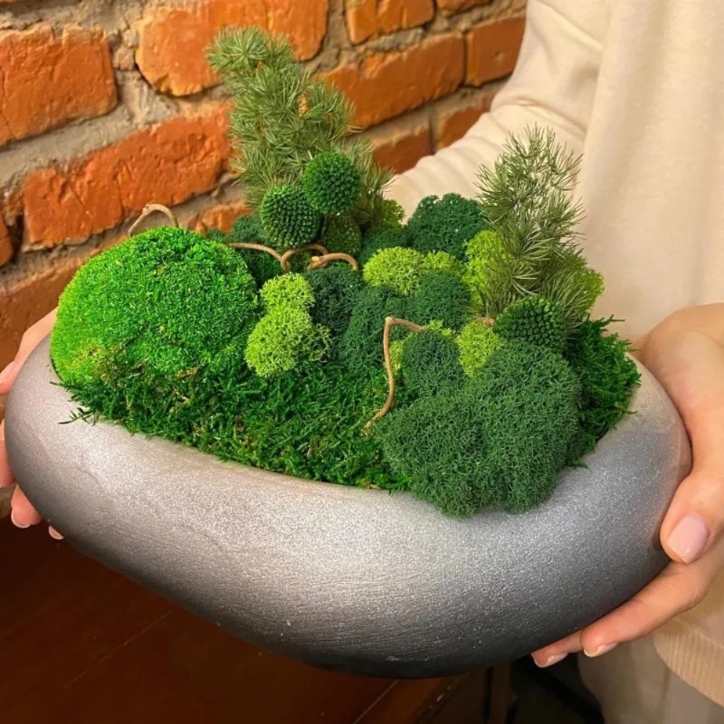 Mousse verte artificielle, fau - Preserved Moss Sheet avis et prix