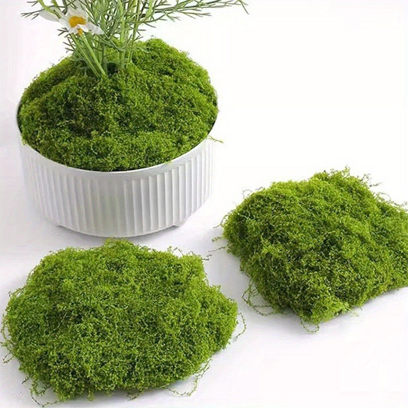 Fausse mousse verte artisanale - Preserved Moss Sheet avis et prix