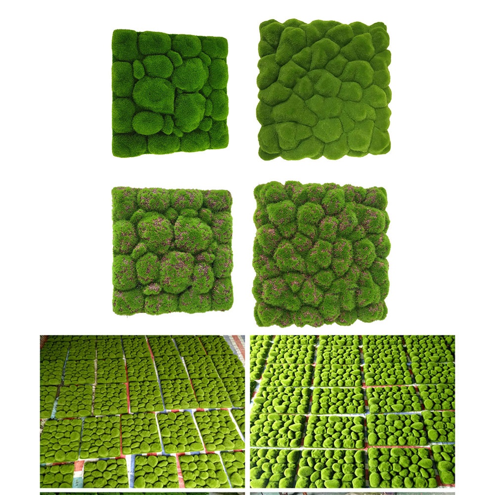 Panneau de mousse de mousse si - Preserved Moss Sheet avis et prix