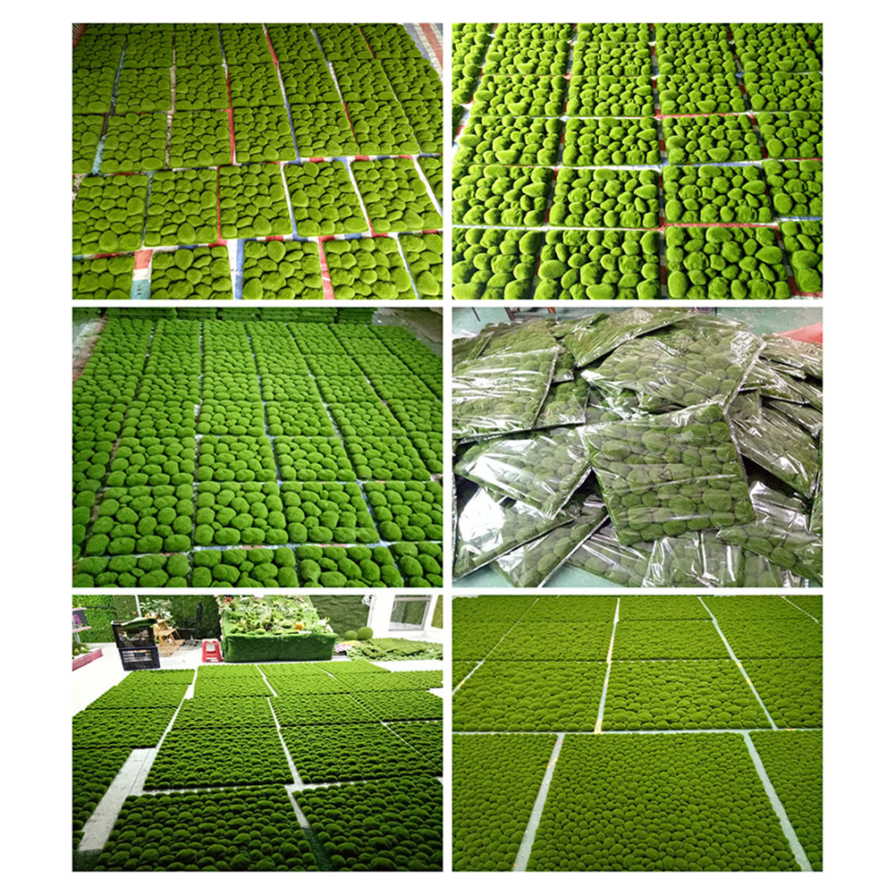 Panneau de mousse de mousse si - Preserved Moss Sheet avis et prix